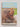 Unlikely Friendships for Kids: The Dog & The Piglet by Jennifer S. Holland