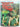 The Encyclopedia of New Zealand Rugby by Rod H. Chester