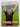 Sean Fitzpatrick: Turning Point by Duncan Johnstone
