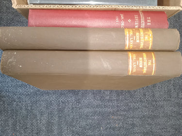Stormqueen! by Marion Zimmer Bradley - Book Express - Used Print Books