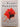 The Plant Paradox: The Hidden Dangers in Healthy Foods That Cause Disease and Weight Gain by Steven R. Gundry