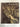 Mexico's Sierra Madre: The World's Wild Places by Donald Dale Jackson