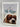Teach Your Dog Te Reo by unknown