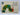 The Very Hungry Caterpillar by Eric Carle
