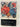 The Penguin Book of Russian Poetry by Robert Chandler, Irina Mashinski