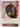 Julius Caesar: The Oxford ShakespeareJulius Caesar by William Shakespeare, Arthur Humphreys