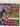 Climbers - Colourful Gardening by Marcus Harpur, Jerry Harpur