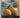The Essential Mediterranean Cookbook by Murdoch Books Pty Limited