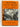 Doctor Goes West: Journey to Brazil by George Mair