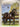 Register of Thoroughbred Stallions of New Zealand 2014, volume XLI by New Zealand Thoroughbred Breeders Association