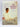 The Winning Woman: A New Zealand Guide to Financial Security by Jackie O'Neill