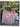 Kaffe Fassett's Country Garden Quilts by Kaffe Fassett
