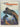 The evolution and ecology of the dinosaurs by L. B Halstead