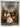 The Country Life Book of the Royal Silver Jubilee by Patrick W. Montague-Smith