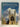 The Architectural History of King's College Chapel and Its Place in the Development of Late Gothic Architecture in England and France by Francis Woodman
