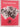 Science of Strength and Training: understand the anatomy and physiology to transform your body by Austin Current (Copy)