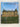 Houghton Hall: The Prime Minister, The Empress and The Heritage by Andrew Moor