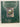 Set for a King: 200 Years of Gardening at the Royal Pavilion by Mike Jones