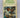 Spirit of Enterprise: The 1981 Rolex Awards by Gregory B. Stone