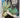 A natural history of the coral reef by Charles R. C. Sheppard
