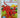 The Big Leaf Pile (Clifford the Big Red Dog) (Big Red Reader Series) by Josephine Page, Jim Durk