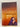 Ninteen Minutes by Jodi Picoult