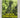 Tales of the Cthulhu Mythos: Golden Anniversary Anthology by H. P. Lovecraft and Divers Hands, Jeffrey K. Potter, James Turner