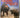 Walking with Beasts: a prehistoric safari by Tim Haines