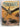 The Illustrated Encyclopedia of Pterosaurs by Peter Wellnhofer