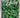 A Grower's Guide to Herbs by Geoffrey Burnie, John Fenton-Smith