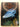 Fishes of the New Zealand region by Wade Doak