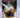 Have His Carcase by Dorothy L. Sayers