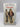 Deenie by Judy Blume