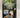 Project Huia by Des Hunt