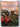 The Complete Middle East Cookbook by Tess Mallos
