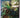 The care and Maintenance of Aquarium Fish by Alice Burkhart, Richard Crow, Dave Keeley