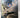Fighter pilot by Duff STRONG, Colin & HART-DAVIS