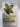 The Green Guide for Business by Chris Goodall