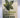 The Green Guide for Business by Chris Goodall
