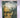 Selected poems; by Robert Frost