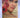 The Favoured Child by Philippa Gregory