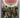Modern fighting men: Uniforms and equipment since World War II by Dr John and Adrian Gilbert. Pimlott