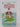 The British Genius (Coronet Books) by Peter Grosvenor,James MacMillan