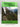 Rimutaka Railway: an Extract from A Line of Railway by W. N. Cameron