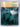 Cities (World wide series) by Michael Denison Palmer