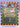 Where's Wally?: Fighting Knights (Where's Wally? Fun Fact Books) by Rachel Wright, Martin Handford