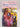 My Lady Governess (Zebra Regency Romance) by Wilma Counts