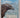 Supersense: Perception in the Animal World by John Downer