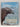 Supersense: Perception in the Animal World by John Downer