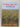 La Basse-Ville 1917: New Zealand voices from Flanders Fields by Dominique G.J.M. Cooreman